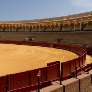 Arena sportowa